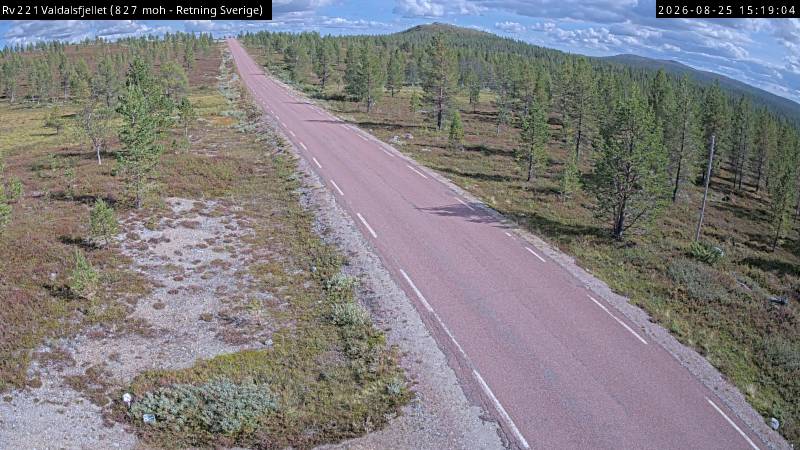 Valdalsfjellet, retning Sverige