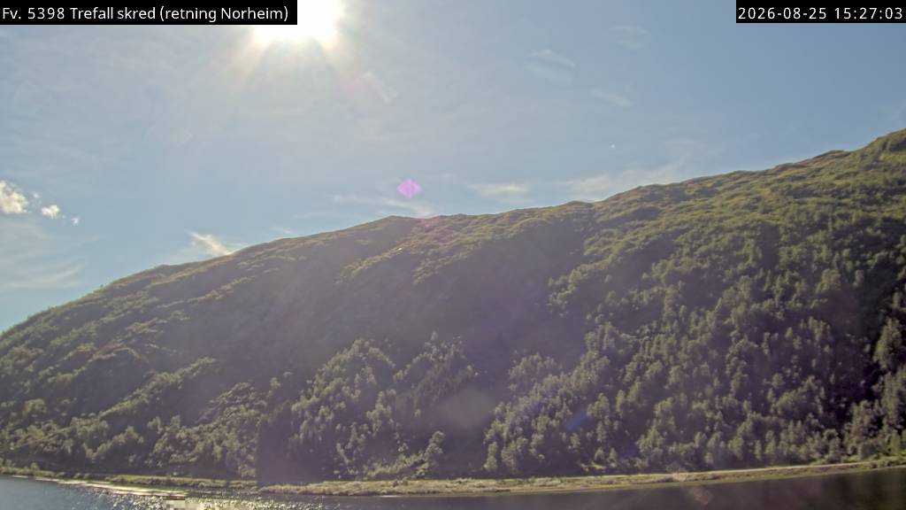 Trefall skred, retning Nesheim