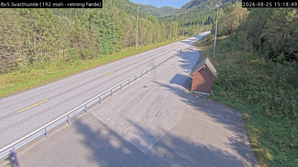 Svarthumle, retning Førde