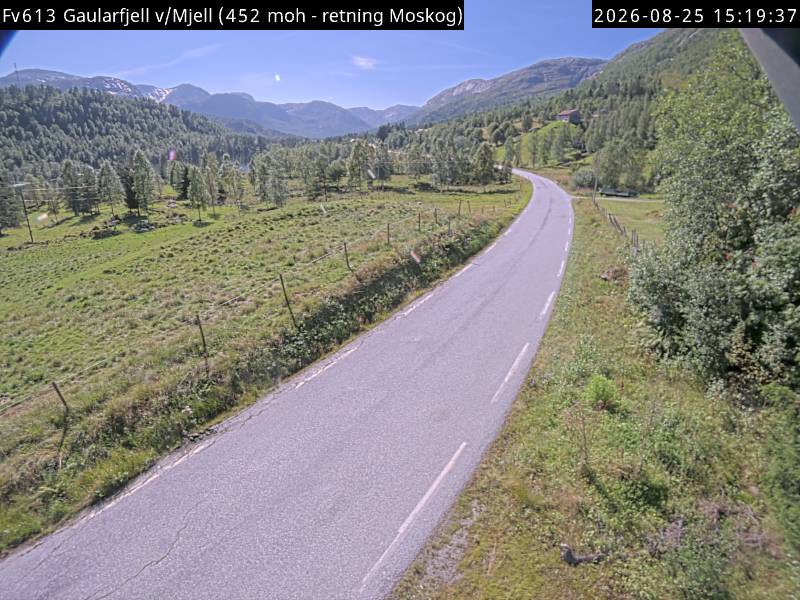 Gaularfjell v/Mjell, retning Eldalsosen