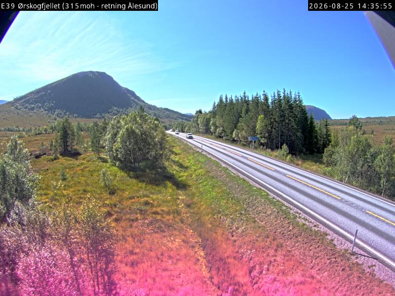 Ørskogfjellet, retning Vestnes
