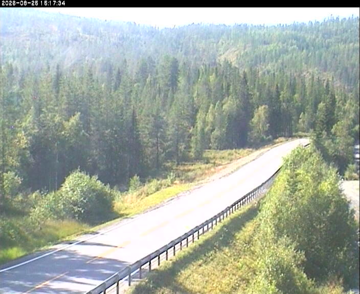 Selbuskogen, retning Stjørdal