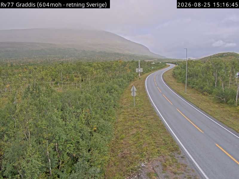 Graddis, retning Sverige