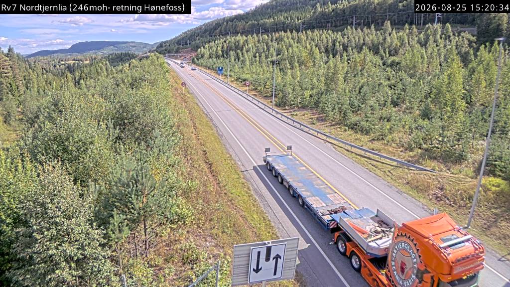 Nordtjernlia, retning mot Sokna