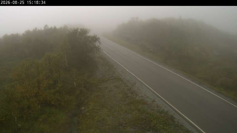 Sjonfjellet, retning Nesna