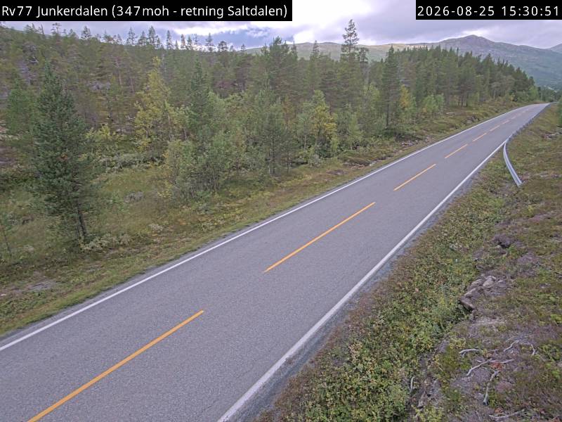 Junkerdalen, retning Saltdalen