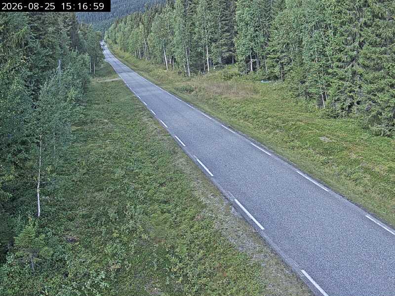 Skardmodalen, retning Hattfjelldal