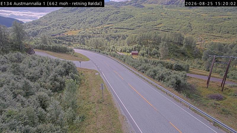 Austmannalia, retning Røldal